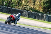 Oulton-Park-20th-March-2020;PJ-Motorsport-Photography-2020;anglesey;brands-hatch;cadwell-park;croft;donington-park;enduro-digital-images;event-digital-images;eventdigitalimages;mallory;no-limits;oulton-park;peter-wileman-photography;racing-digital-images;silverstone;snetterton;trackday-digital-images;trackday-photos;vmcc-banbury-run;welsh-2-day-enduro